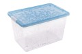 jasmin-1-blue