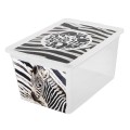 7315,7330 zebra